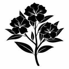 Oleander Black silhouette