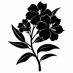 Oleander Black silhouette