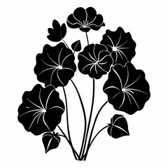 Nasturtium Black silhouette