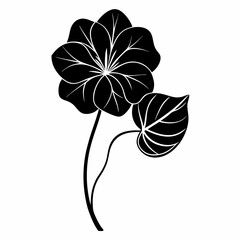 Nasturtium Black silhouette