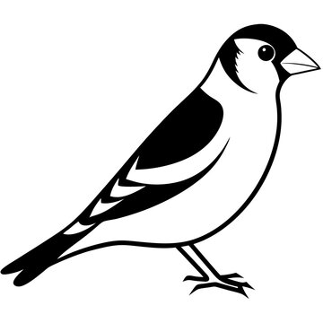 recommend clip art: Goldfinch silhouette