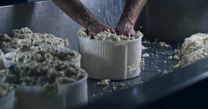 Super slow motion close up of artisan cheesemaking pressing semi finished curd of fresh bio milk into mould during parmesan cheese making process at production creamery dairy factory at 1000 fps.