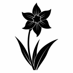 Narcissus Black silhouette