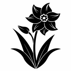 Narcissus Black silhouette