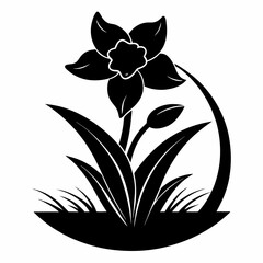 Narcissus Black silhouette