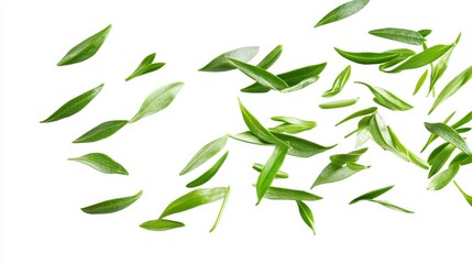 Fototapeta premium Fresh green tea leaves falling and floating in mid-air against a clean white background.