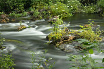 The scenic Hillsborough River winds through a subtropical landscape, Hillsborough River State Park, Southwest Florida beautiful walkable trail