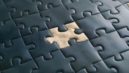 The image displays a section of a puzzle featuring interlocking dark pieces, revealing a missing light-colored piece that creates an intriguing visual contrast.