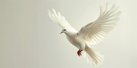 Fototapeta premium White Dove Soaring Through Copy Space, A Symbol of Peace and Hope