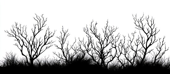 Silhouettes of Bare Trees in a Monochromatic Landscape