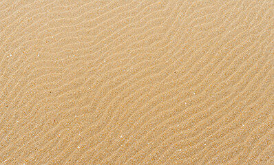 Obraz premium texture of sand