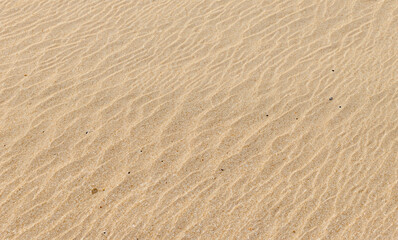 sand texture background
