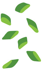 Falling Chive Spring Onion Slices Illustration