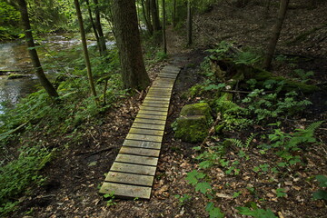 Hiking track at the river Zdobnice, Hradec Kr&aacute;lov&eacute; Region, Czech Republic, Europe
