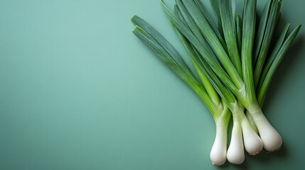 Fresh Green Leeks on Teal Background