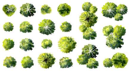 Vector set of Top view green tree for outdoor plan or map and architecture drawing, elements for environment and garden ,botanical elements ,Blooming flowers in spring,tropical plants element © Chanya_B