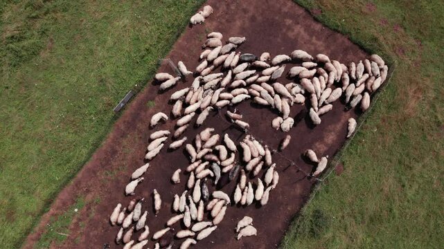 Aerial view of sheepfold on a mountain