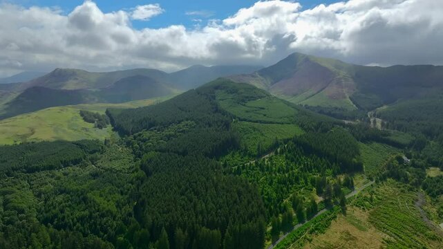 Panning altitude view of pine forested hills with mountains in distance. Whinlatter Forest, Lake District National Park, Cumbria, UK