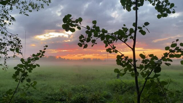 Fog over a green field after sunset