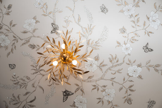 Ceiling with romantic wallpaper and contemporary gold light fixture