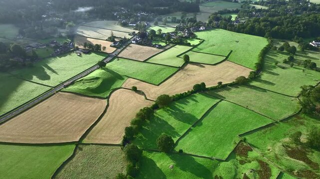 View down to patchwork farmland fields in summer just after daybreak. Grasmere, Lake District Nation Park, Cumbria, UK