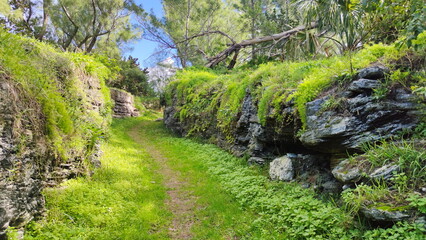Bermuda, the island of tropical paradise