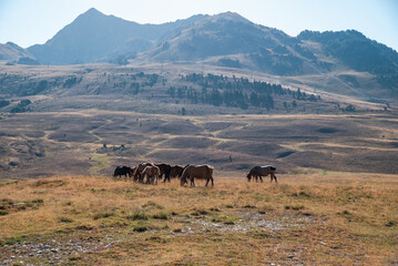Majestic valley with mountains, waterfall