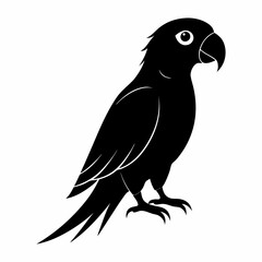Fototapeta premium Parrot silhouette on white background