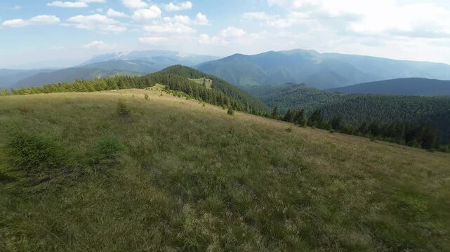 The sharp, steep and snowy peaks of the Fagaras mountain are visible behind the green spruce forest, Carpathia, Romania.