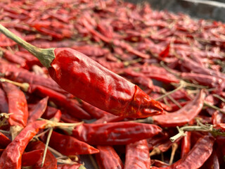 red chilli | indian spices | hot red chilli