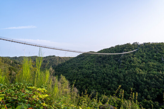 Fototapeta Hängeseilbrücke Geierlay