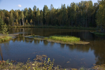 Arkhangelsk region. landscape on a cloudy summer day