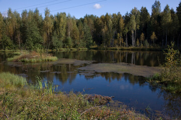Obraz premium Arkhangelsk region. landscape on a cloudy summer day