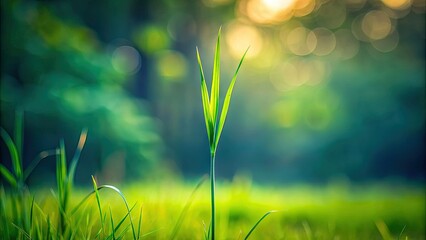 A singular blade of grass stands tall, isolated against a blurred background, emphasizing its slender shape and vibrant green color in a dramatic perspective view.