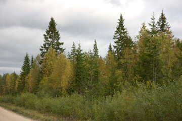 Arkhangelsk region. landscape on a cloudy summer day