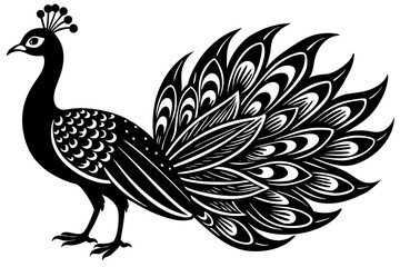 Peacock bird vector silhouette, Peacock bird icon vector illustration