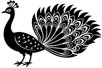 Peacock bird vector silhouette, Peacock bird icon vector illustration
