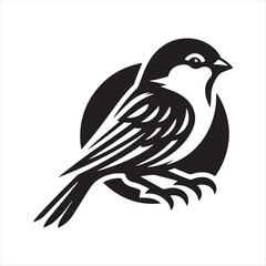 Fototapeta premium A Sparrow Bird Vector Art Illustration