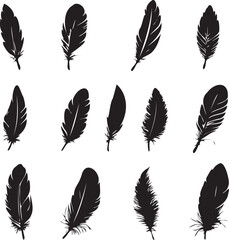 Feathers set black silhouettes