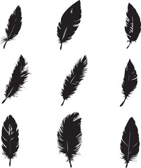 Feathers set black silhouettes