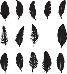 Feathers set black silhouettes