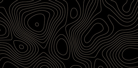 Obraz premium Abstract wave paper curved reliefs background .gradient multicolor wave curve lines banner background design .topographic contours map background .Vector geographic contour map. 