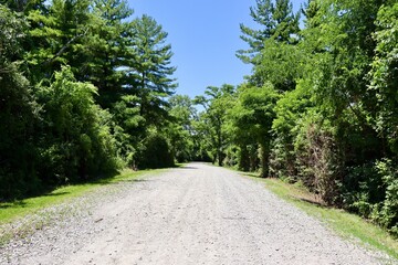 The empty gravel road in the country on a sunny day.