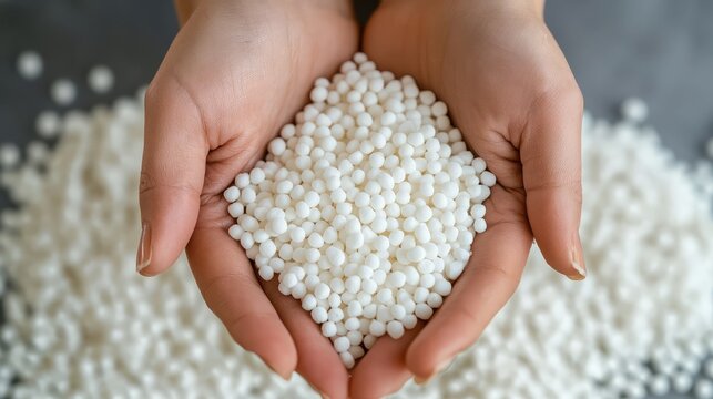 Sago Pearls: A close-up shot of hands holding a handful of sago pearls, a staple ingredient in many Asian cuisines. The pearls are glistening and inviting.