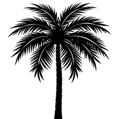 silhouette-of-a-tall-palm-tree silhouette vector image 