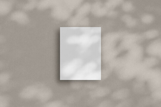 A single white vertical paper sheet mockup, US Letter flyer mockup, paper, letter, invitation card.