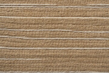 A close-up view of a woven rug featuring white stripes, perfect for interior design or textile inspiration