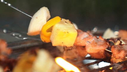 Family gather celebrate holiday, Family member grill food for dinner party. Outdoor camping...