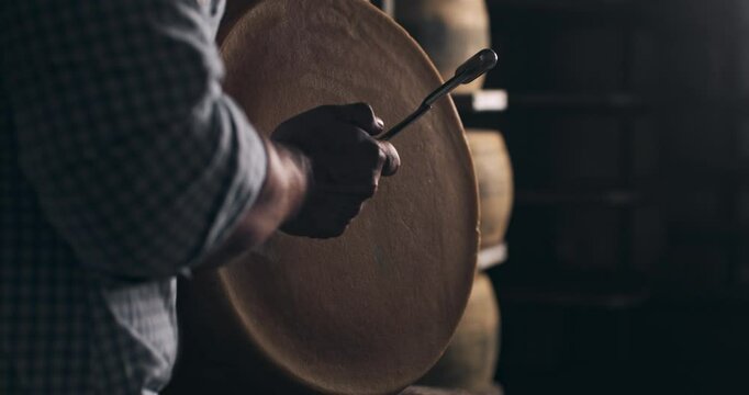 Super slow motion macro of artisan cheesemaker controls quality of parmesan cheese during ripening process at production creamery dairy factory at 1000 fps.