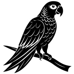 Fototapeta premium silhouette-of-a-parrot vector image 